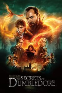 Nonton Fantastic Beasts: The Secrets of Dumbledore 2022