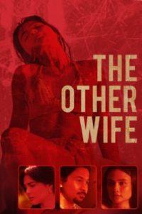 Nonton The Other Wife 2021